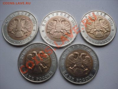 красная книга 1993 все 5 шт до 05.12.12 22-00 МСК - SDC11511.JPG