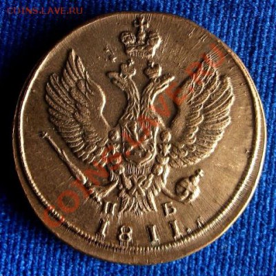 44 года. Отличный экземпляр - image