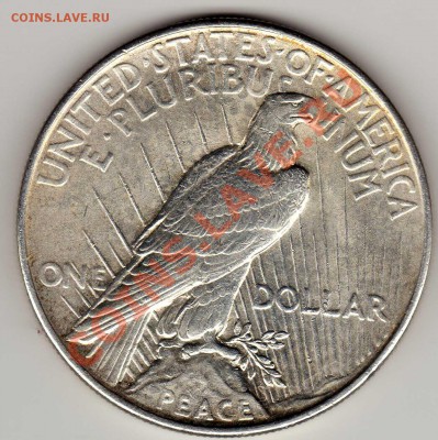 Ag США ПИС ДОЛЛАР 1922 ДО 06.12.12 В 22Ч (3675) - img816