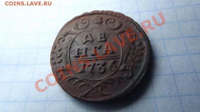 деньга 1736г. Сохран! - Изображение 3218