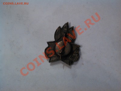 Знак ВМФ "Настойчивый" + бонус "Всегда Готов", до 06.12.12. - IMG_20121128_111238