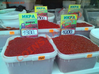 Продам красную икру с Камчатки - 28112012080
