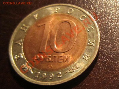 Красная книга. Краснозобая казарка до 04.12 22.00 - kazarka2