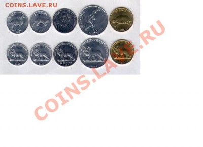 Конго 2002 - конго