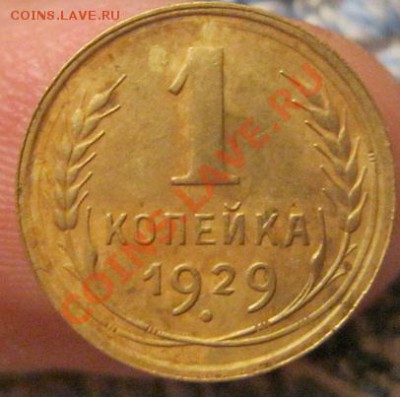 1 коп. 1929,54гг.(приятные) до 04.12.2012г. в 23:00мск. - IMG_0707.JPG