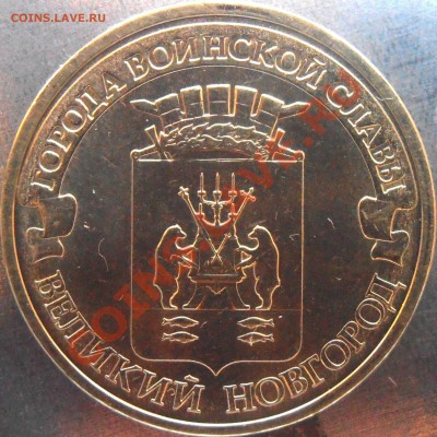 Вся Луга+другие гвс разновидности до 20.00 9.12.12 - PC020033.JPG