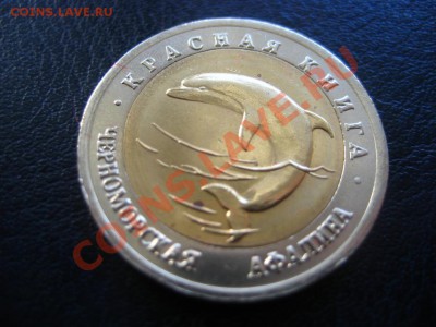 2 набора КРАСНОЙ КНИГИ В ПРОДАЖЕ - IMG_7416 (1024x768)