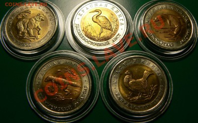 КРАСНАЯ КНИГА 93г. до 9.12.12 22-00 - лл 93р