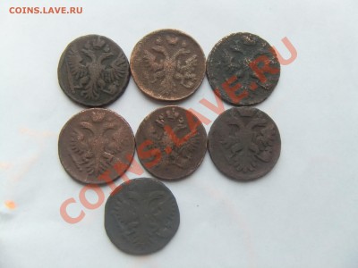 Денга 1730,..31,..34,..36,..37,..40,..51 годы,на оценку. - лот9 032