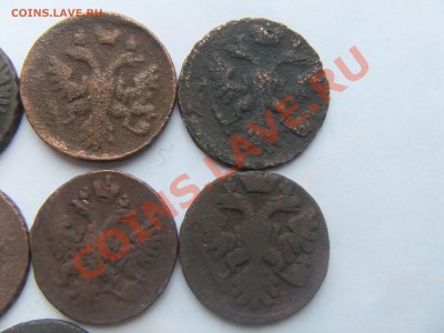 Денга 1730,..31,..34,..36,..37,..40,..51 годы,на оценку. - лот9 034