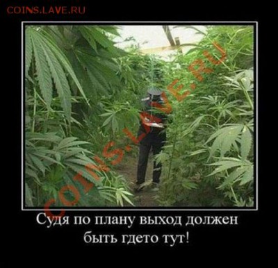 DoctorV - 7676767676767