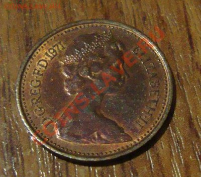 2 Nev Penny - DSC05608.JPG