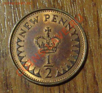 2 Nev Penny - DSC05609.JPG