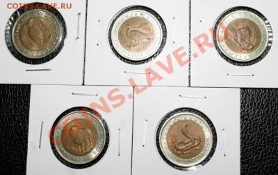 Красная книга 2 полных комплекта. - 91-92.JPG