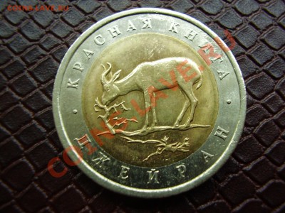 Красная книга ДЖЕЙРАН до 10.12.2012г. - PB100055.JPG