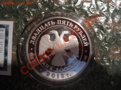 25 рублей Саммит форума Атэс 2012 г - DSC06390.JPG