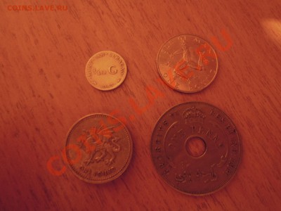Солянка на оценку. - DSCN7169.JPG