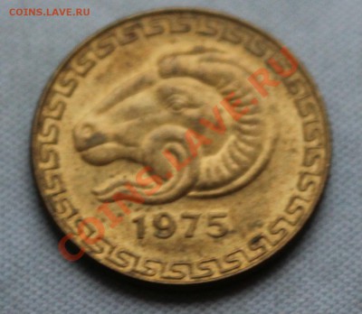 Алжир 20 сентим ФАО 1975 г. БАРАН до 11.12.12г.в 22-00 - IMG_3440.JPG