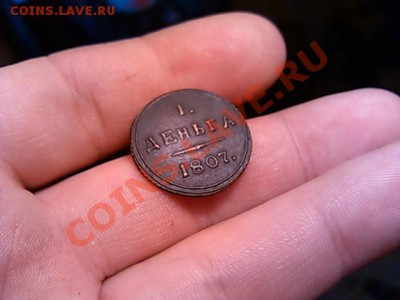 красотка - IMG_20121125_183829