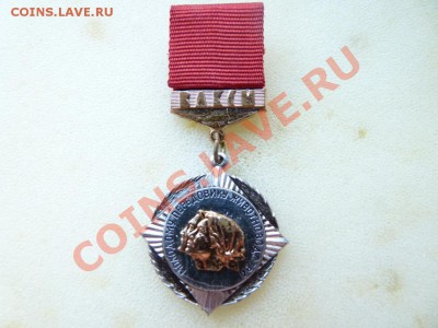 молодому передовеку животноводства - 2785357384