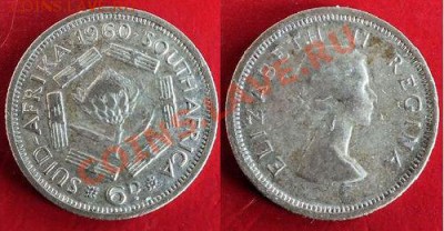 ЮАР: Ag 6 пенсов 1960 Елизавета 2 до 11.12.12, 22-0 - ЮАР 6 пенсов 1960
