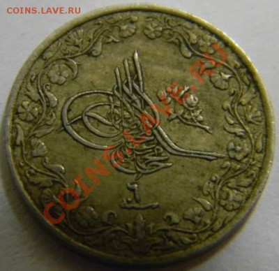 10 кирш Египет - DSCN4236_thumb