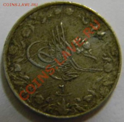 10 кирш Египет - DSCN4264_thumb