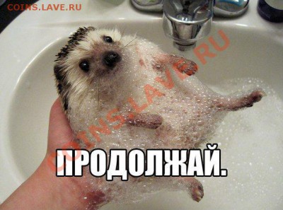 AZ717 таки ДА! с 3000 репием... - s3img_12398122_78767_0