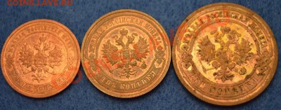 Сколько стоят медяки ? - 2843923111_1