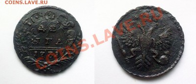 денга 1731: 4 ряда перьев в хвосте - 1731 4 пера 2