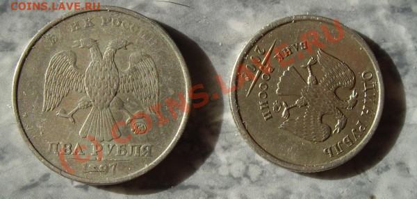 два брачка РФ. оценка - IMGP4777.JPG