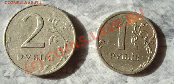 два брачка РФ. оценка - IMGP4773.JPG