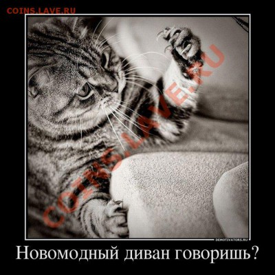 юмор - 50da61c836c6