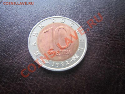 Красная книга. Краснозобая казарка до 10.12 22.00 - IMG_3631