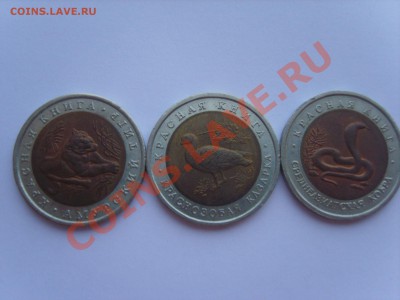 10р.Красная книга. 1992г.до 11.12.12. до 22.00. - S8303112.JPG