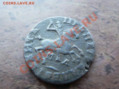 1 копейка ПЕТРОВСКАЯ 1713г. R-2  ЖУРАВЛИКИ на оценку - P1300593.JPG