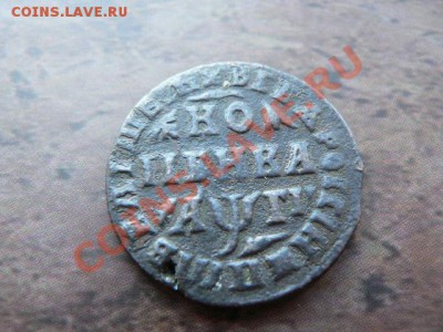 1 копейка ПЕТРОВСКАЯ 1713г. R-2  ЖУРАВЛИКИ на оценку - P1300592.JPG