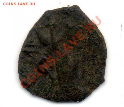 Помогите определить чешуйку! - 555оо861