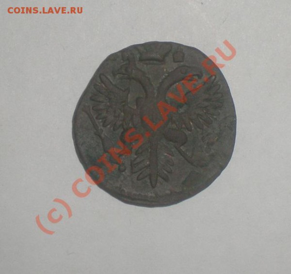 деньга 1730 года 4 ряда перьев - PA170401.JPG