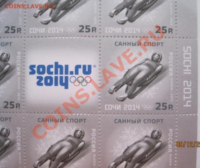 XXII Олимпийские зимние игры в Сочи, 5 видов - IMG_7453.JPG