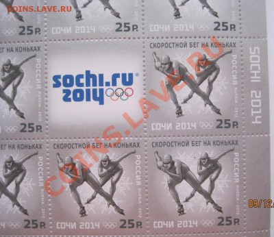 XXII Олимпийские зимние игры в Сочи, 5 видов - IMG_7455.JPG