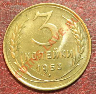 3к53 нарядная Короткий до 16.12.12.  23-00 - 3-53р