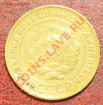 5к31г нарядный Короткий до 16.12.12. 23-00 - 5-31о