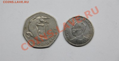 набор Гамбия 1971-98г (2 монеты) до 14.12 в 21.30 - IMG_6672 (Large).JPG