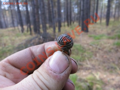 Пуговица на опознание. - IMG_2378.JPG