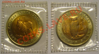Красная книга 1991 г. до 16.12.12 г. 22.00 мск - P1120270.JPG