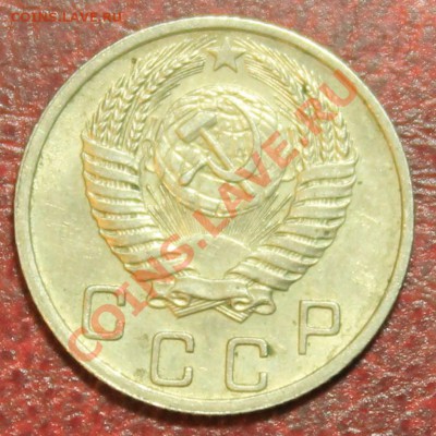 10к52 хоршенькая Короткий до 16.12.12. 23-00 - 10-52о2