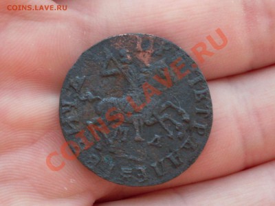 Копейка 1713, денга 1712 - SDC10772.JPG