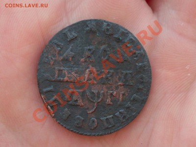 Копейка 1713, денга 1712 - SDC10771.JPG