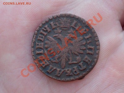 Копейка 1713, денга 1712 - SDC10778.JPG